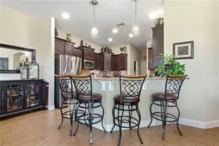 3431 Diamond Falls Cir, Land O Lakes, FL 34638 - Photo 8