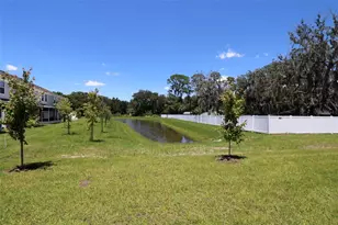 10914 Quickwater Ct, Riverview, FL 33569 - Photo 20