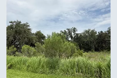 5072 Avalon Park Boulevard, Wesley Chapel, FL 33545 - Photo 28
