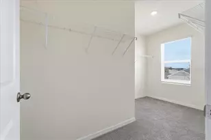 33503 Elm Hl Br, Wesley Chapel, FL 33545 - Photo 38