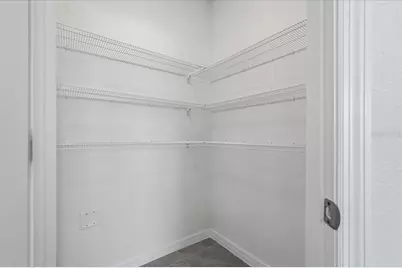 33503 Elm Hill Branch, Wesley Chapel, FL 33545 - Photo 22