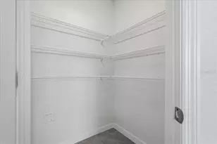 33503 Elm Hl Br, Wesley Chapel, FL 33545 - Photo 22