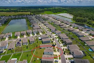 33503 Elm Hl Br, Wesley Chapel, FL 33545 - Photo 56