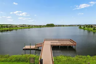 1657 Feather Grass Loop, Lutz, FL 33558 - Photo 94