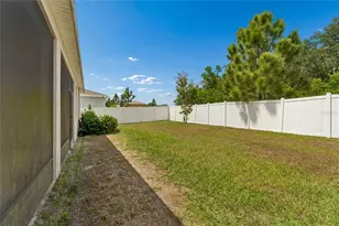 35977 Morse Willow Ct, Zephyrhills, FL 33541 - Photo 48