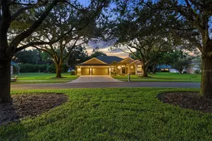 13756 Dowling Ln, Odessa, FL 33556 - Photo 72