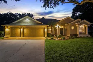 13756 Dowling Ln, Odessa, FL 33556 - Photo 58