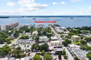 1956 Cedar Dr, Dunedin, FL 34698 - Photo 74