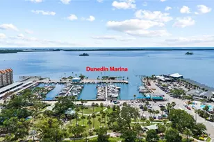 1956 Cedar Dr, Dunedin, FL 34698 - Photo 72