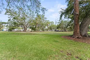 328 Pershing St, Dunedin, FL 34698 - Photo 46