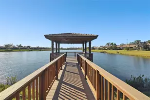 161 Shell Falls Dr, Apollo Beach, FL 33572 - Photo 48