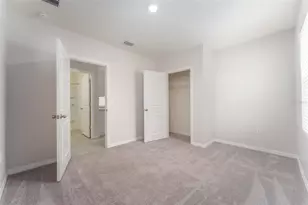 17031 Blister Wing Dr, Wimauma, FL 33598 - Photo 32