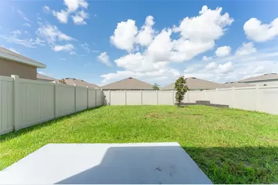 17031 Blister Wing Drive, Wimauma, FL 33598 - Photo 34