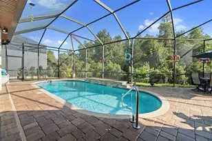 30581 Ivy Forge Ct, Wesley Chapel, FL 33543 - Photo 58