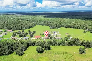 13975 McIntosh Rd, Thonotosassa, FL 33592 - Photo 2