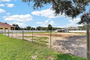 13975 McIntosh Rd, Thonotosassa, FL 33592 - Photo 56