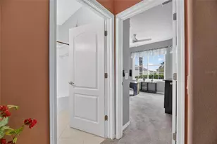 13311 Graham Yarden Dr, Riverview, FL 33579 - Photo 4