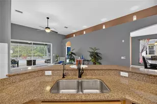 13311 Graham Yarden Dr, Riverview, FL 33579 - Photo 18