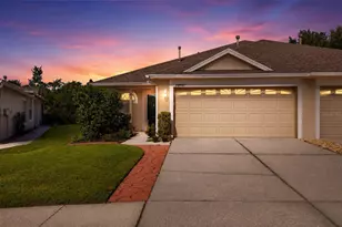 30907 Whitlock Dr, Wesley Chapel, FL 33543 - Photo 1