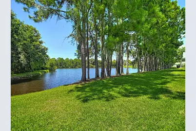 1535 Morning Rose Place, Trinity, FL 34655 - Photo 62