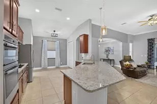 12153 Creek Preserve Dr, Riverview, FL 33579 - Photo 12