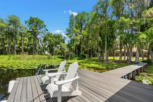 5035 Conner Dr, Land O Lakes, FL 34639 - Photo 32