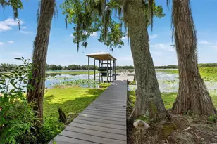 5035 Conner Dr, Land O Lakes, FL 34639 - Photo 30