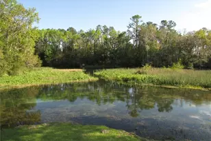 18902 SW 108th Loop, Dunnellon, FL 34432 - Photo 34