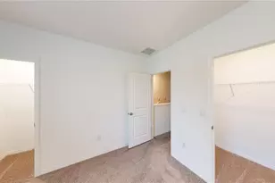 17280 Bigleaf Mahogany Ln, Land O Lakes, FL 34638 - Photo 20
