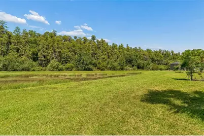 4333 Cairoli Court, Wesley Chapel, FL 33543 - Photo 62