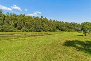 4333 Cairoli Ct, Wesley Chapel, FL 33543 - Photo 62