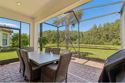 4333 Cairoli Court, Wesley Chapel, FL 33543 - Photo 60