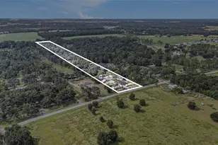 14638 Treeleaf Ln, Dade City, FL 33525 - Photo 2
