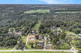 14638 Treeleaf Ln, Dade City, FL 33525 - Photo 4