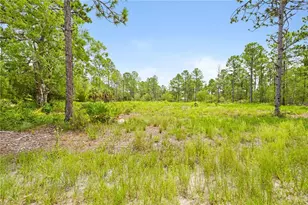 10052 Yellowbird Ave, Weeki Wachee, FL 34614 - Photo 1