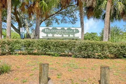 423 Van Reed Manor Drive, Brandon, FL 33511 - Photo 24