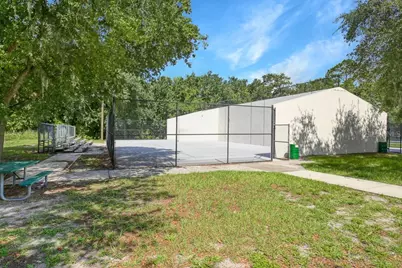 423 Van Reed Manor Drive, Brandon, FL 33511 - Photo 30