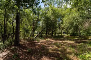 14150 Highland Rd, Parrish, FL 33598 - Photo 64