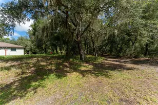 14150 Highland Rd, Parrish, FL 33598 - Photo 46