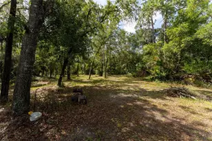 14150 Highland Rd, Parrish, FL 33598 - Photo 54