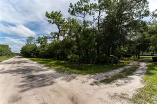 14150 Highland Rd, Parrish, FL 33598 - Photo 18