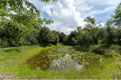14150 Highland Road, Parrish, FL 33598 - Photo 60