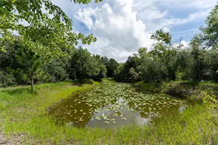 14150 Highland Rd, Parrish, FL 33598 - Photo 60