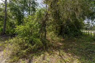 14150 Highland Rd, Parrish, FL 33598 - Photo 52