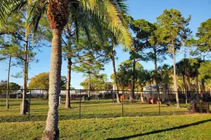 9124 39th Ln N, Pinellas Park, FL 33782 - Photo 46