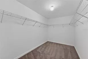 215 English Heritage Pl, Dover, FL 33527 - Photo 52