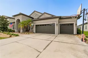 32697 Natural Bridge Rd, Wesley Chapel, FL 33543 - Photo 4