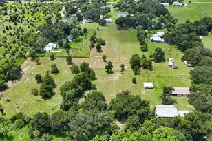 2452 Welcome Rd, Lithia, FL 33547 - Photo 60