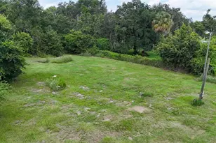 2452 Welcome Rd, Lithia, FL 33547 - Photo 34