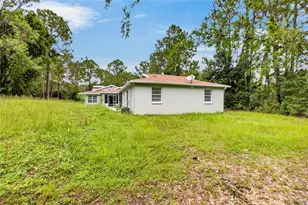 27526 Green Willow Run, Wesley Chapel, FL 33544 - Photo 72